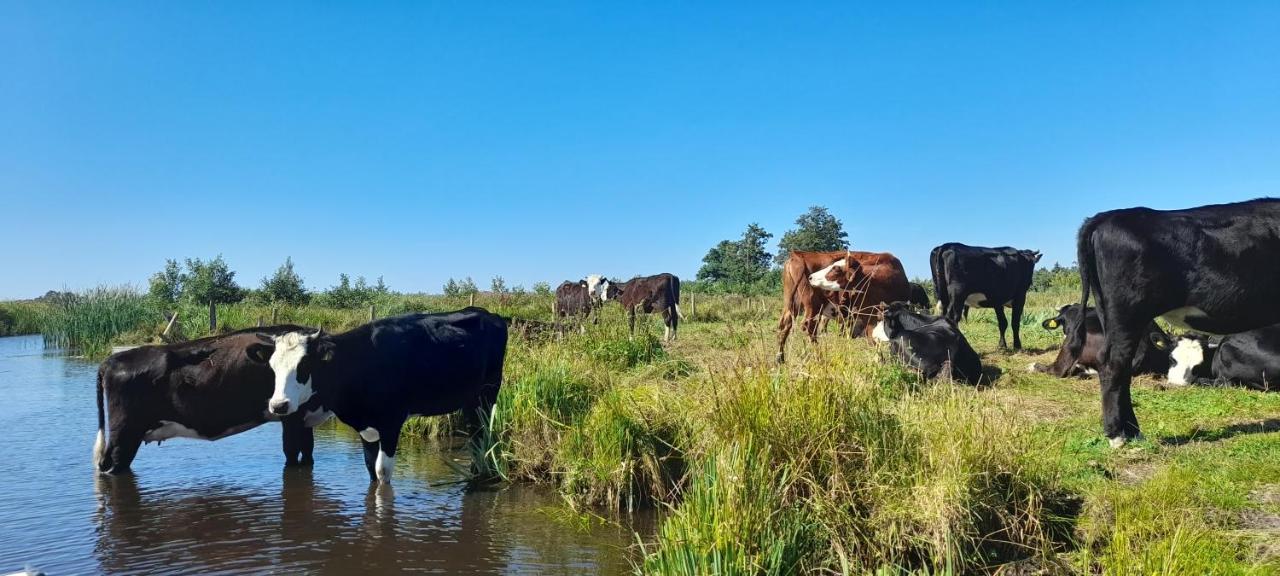 Huisje Beukers Giethoorn Esterno foto