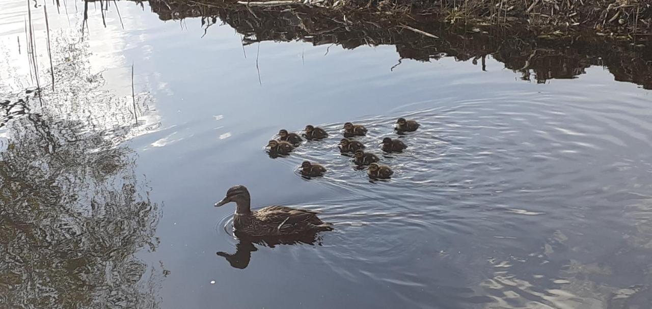 Huisje Beukers Giethoorn Esterno foto