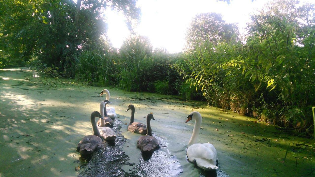 Huisje Beukers Giethoorn Esterno foto